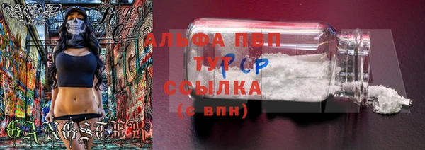 спиды Мегион